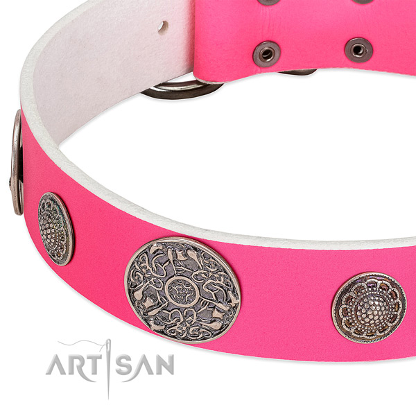 Durable buckle on leather dog collar