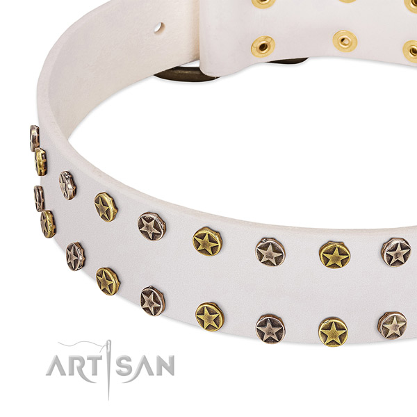 Incredible studs on natural leather collar for your dog