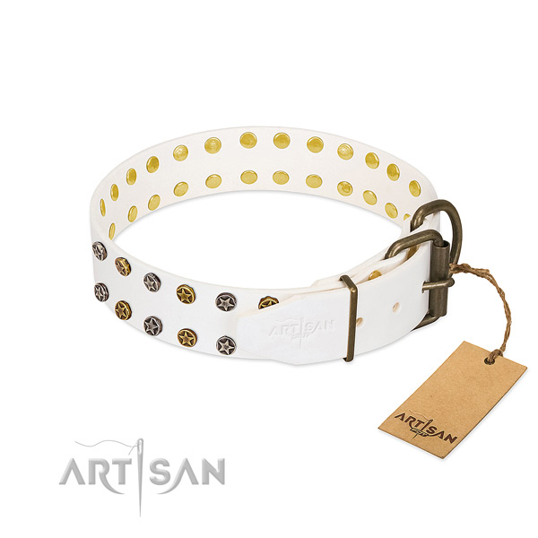 Full grain leather collar with impressive studs for your dog