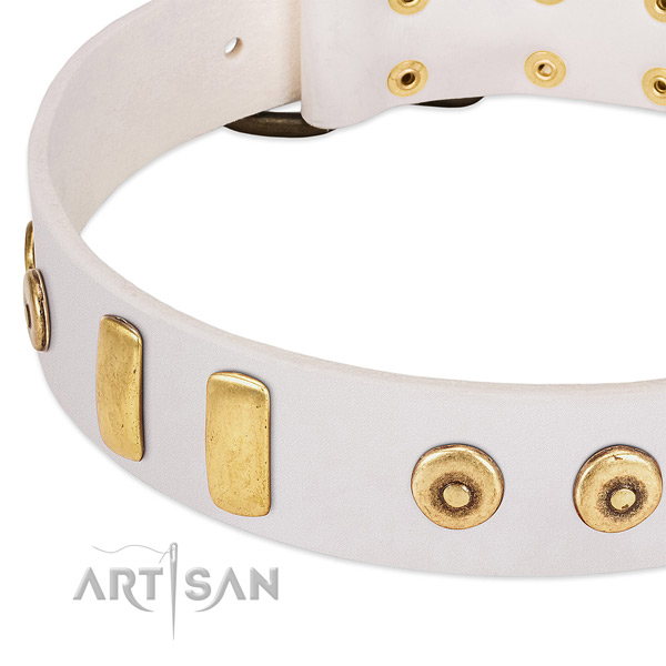 Top notch full grain natural leather collar with amazing studs for your dog