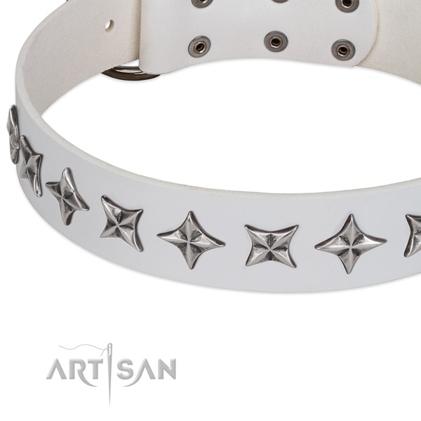 Comfy wearing studded dog collar of strong natural leather