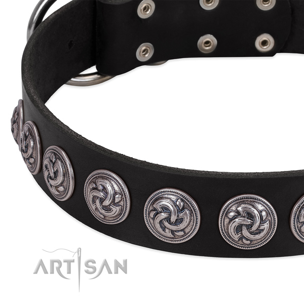 High quality genuine leather dog collar created for your canine