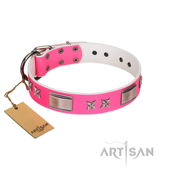Embellished collar of leather for your lovely four-legged friend