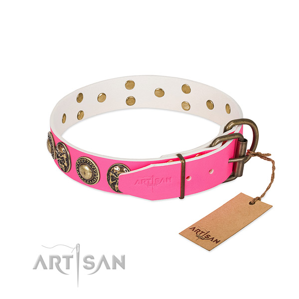 Rust resistant D-ring on everyday use dog collar
