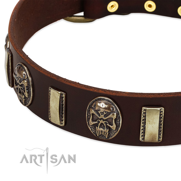 Rust resistant studs on genuine leather dog collar for your canine