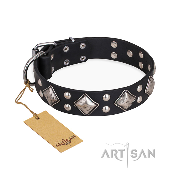 Stylish walking handmade dog collar with strong hardware