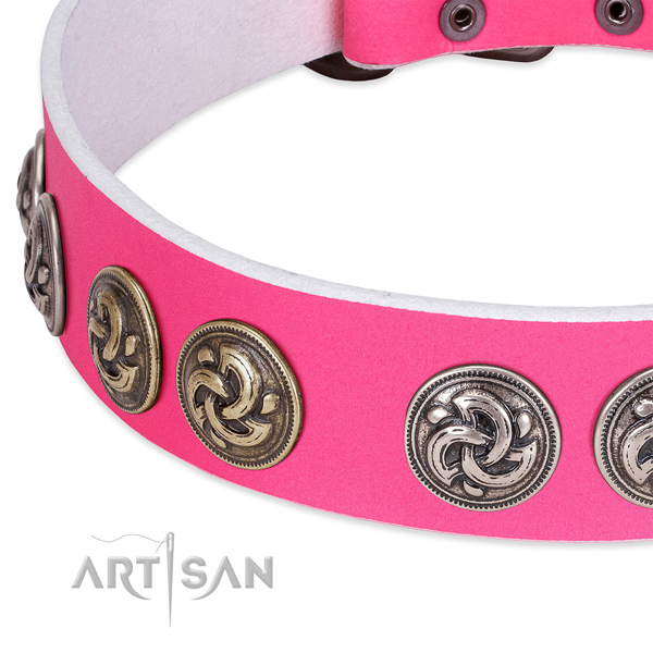 Extraordinary full grain genuine leather collar for your pet walking