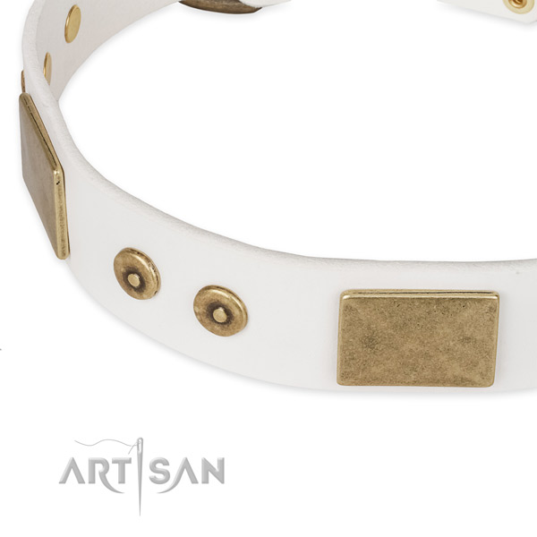 Durable fittings on full grain natural leather dog collar for your canine