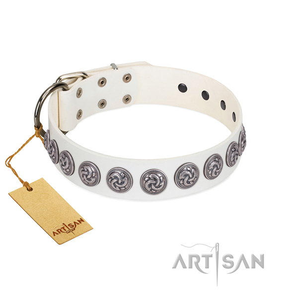 Quality genuine leather dog collar with reliable traditional buckle