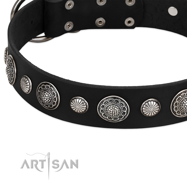 Natural leather collar with durable D-ring for your handsome canine