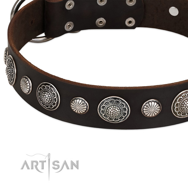 Genuine leather collar with reliable D-ring for your attractive dog