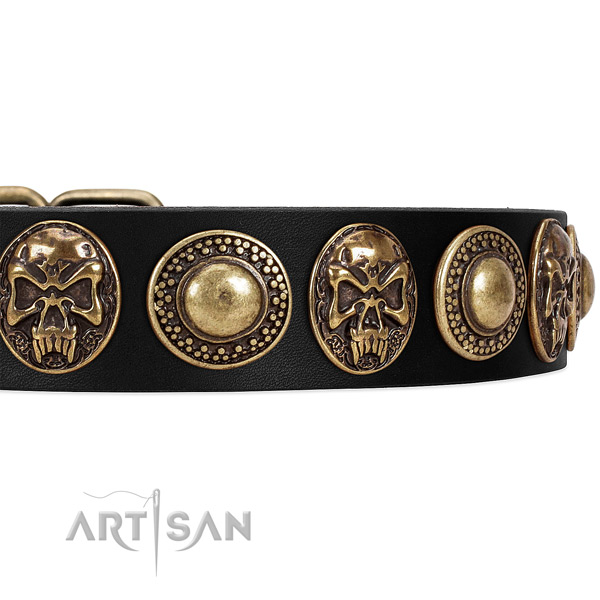 Full grain genuine leather dog collar with adornments for walking