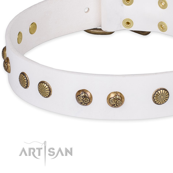 Leather collar with durable hardware for your stylish doggie