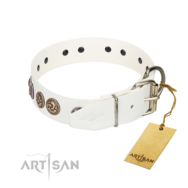 Strong fittings on stunning genuine leather dog collar