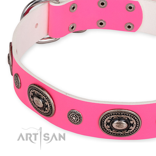 Leather dog collar with inimitable rust-proof embellishments