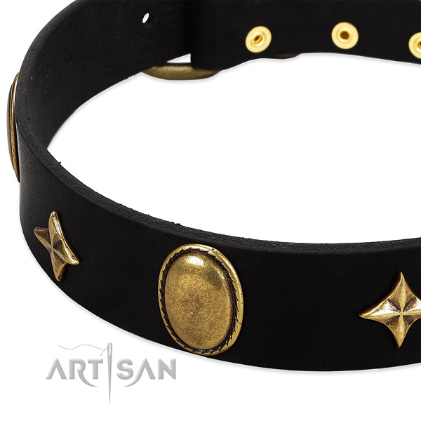 Best quality full grain genuine leather collar with corrosion resistant studs for your doggie