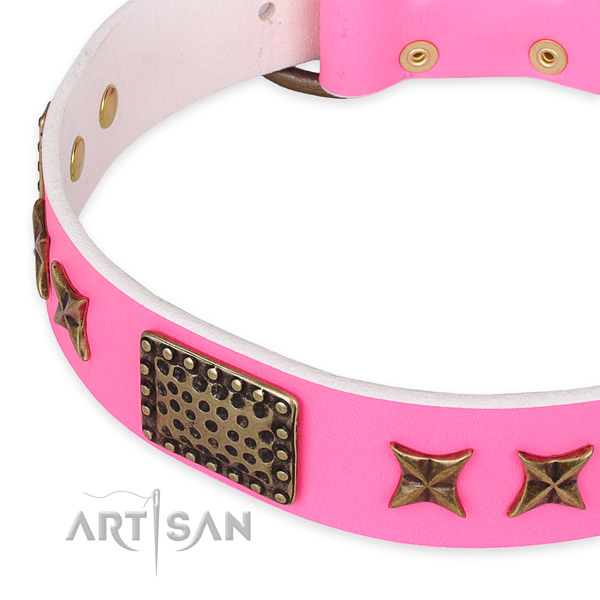 Leather collar with rust resistant traditional buckle for your beautiful four-legged friend