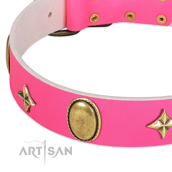 Quality leather dog collar with corrosion resistant hardware