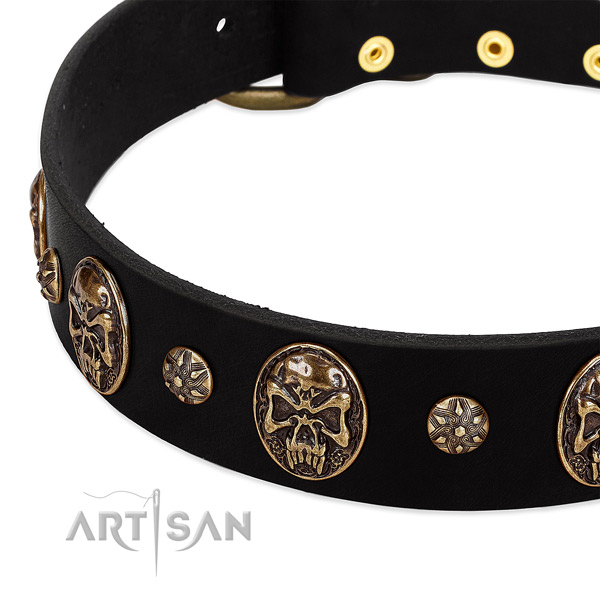 Strong adornments on full grain natural leather dog collar for your four-legged friend