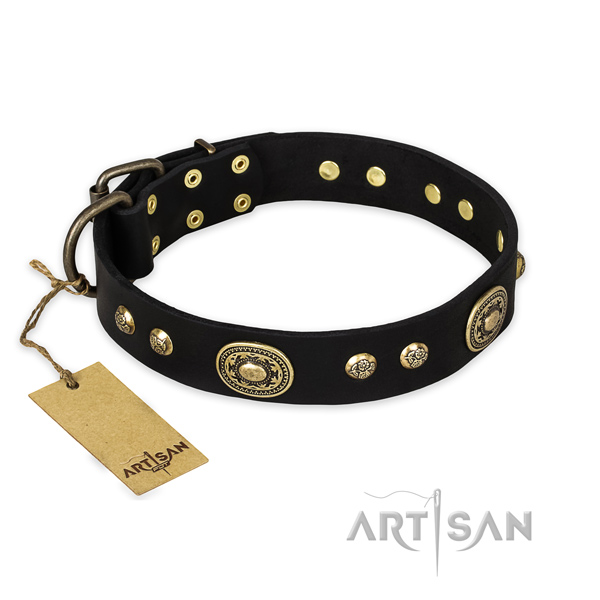 Embellished full grain leather dog collar for fancy walking