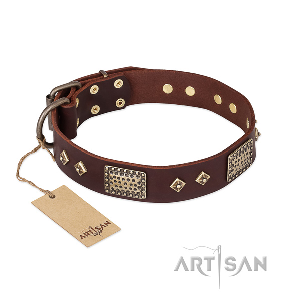 Fashionable full grain genuine leather dog collar for stylish walking