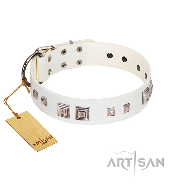 Stylish walking best quality full grain natural leather dog collar
