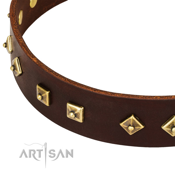Awesome leather collar for your impressive doggie