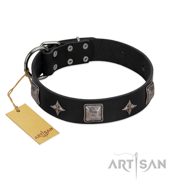 Impressive genuine leather collar for your beautiful pet