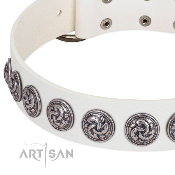 Best quality full grain natural leather dog collar handcrafted for your four-legged friend