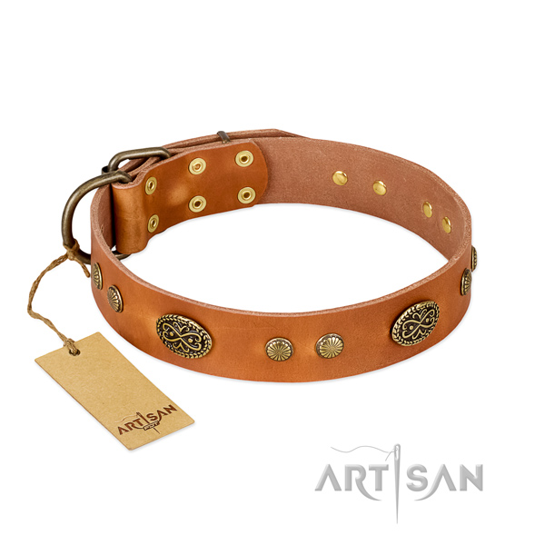 Strong decorations on full grain natural leather dog collar for your pet
