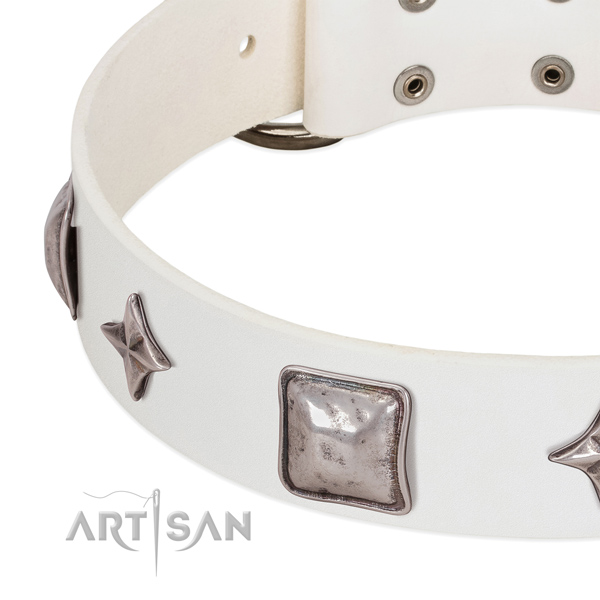 Leather collar with inimitable decorations for your doggie