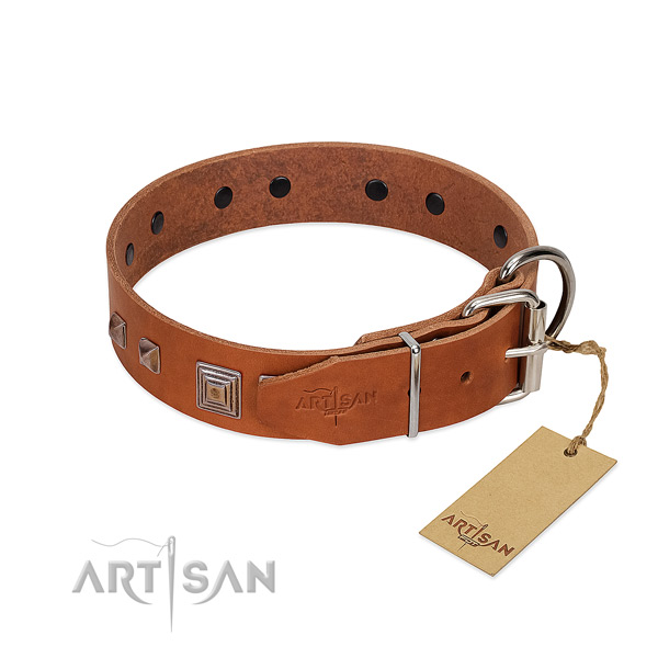 Comfy wearing natural leather dog collar with exceptional embellishments
