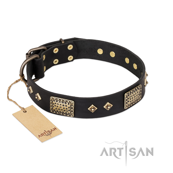 Fashionable full grain natural leather dog collar for everyday use
