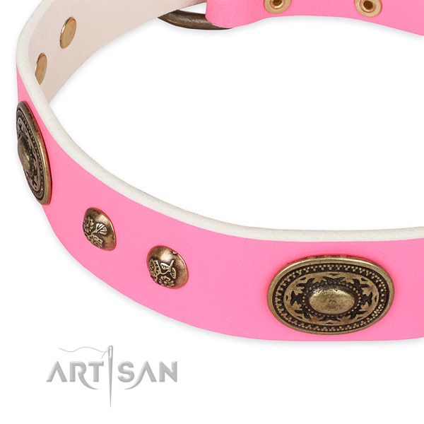 Comfortable leather collar for your impressive canine