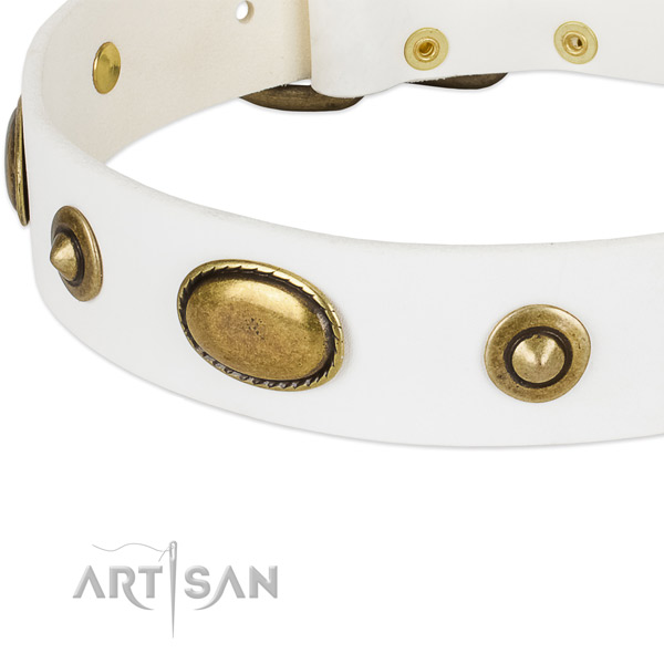 Corrosion proof adornments on genuine leather dog collar for your doggie