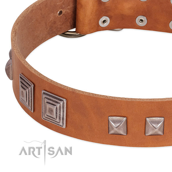 Reliable D-ring on full grain leather dog collar for basic training