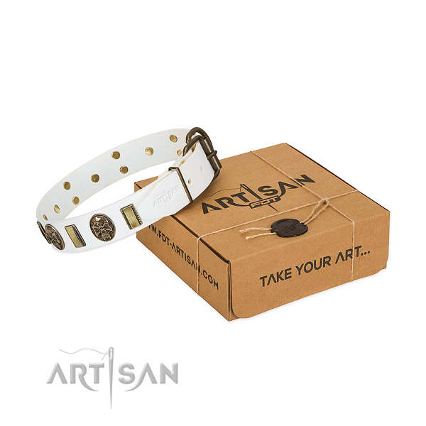 Strong buckle on full grain natural leather dog collar for everyday walking