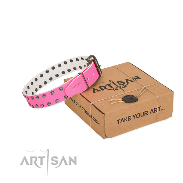 Reliable full grain leather dog collar with embellishments for your handsome canine