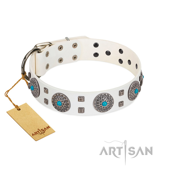 Everyday use full grain genuine leather dog collar with inimitable studs