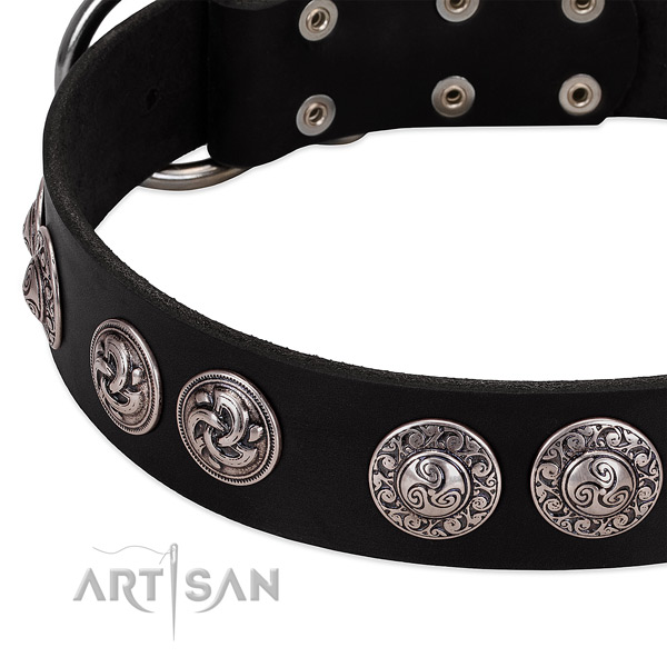 Unique full grain natural leather collar for your four-legged friend walking