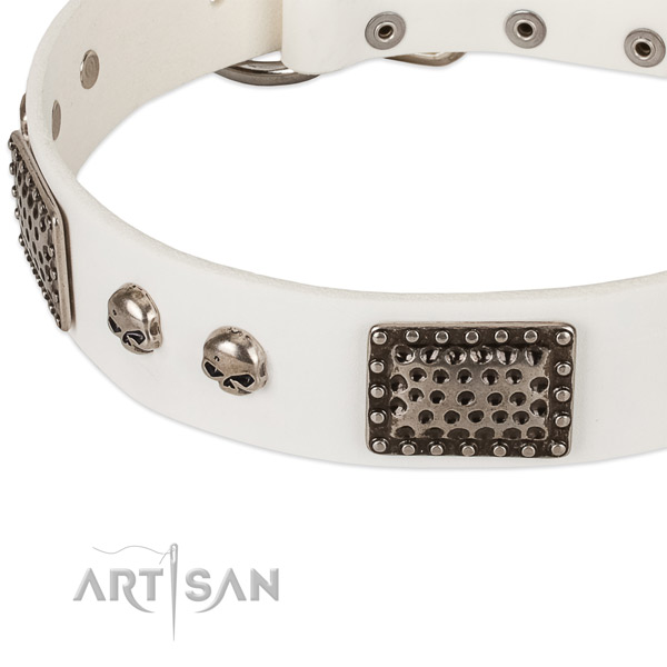 Corrosion proof embellishments on natural genuine leather dog collar for your doggie