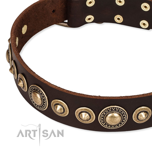 High quality full grain natural leather dog collar crafted for your impressive doggie