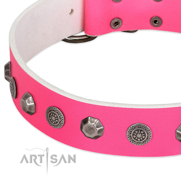 Top notch full grain natural leather collar for your four-legged friend stylish walks