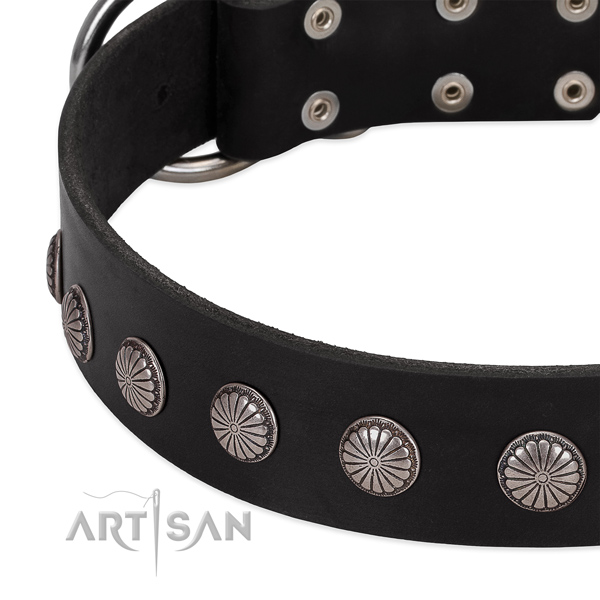 Reliable genuine leather dog collar with embellishments for fancy walking