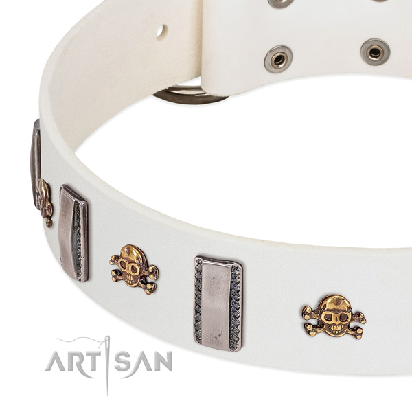 Fashionable studs on full grain leather dog collar for fancy walking