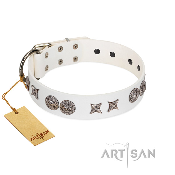 Full grain leather collar with inimitable embellishments for your doggie