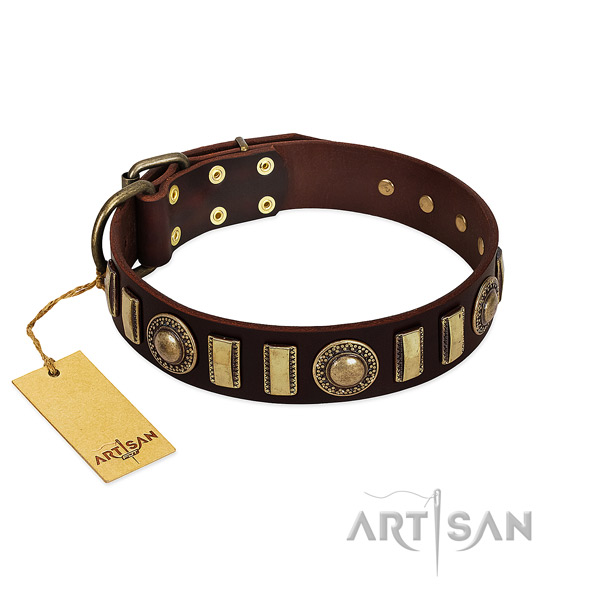Top rate genuine leather dog collar with rust resistant traditional buckle