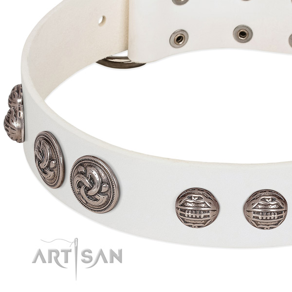 Durable fittings on genuine leather collar for fancy walking your doggie