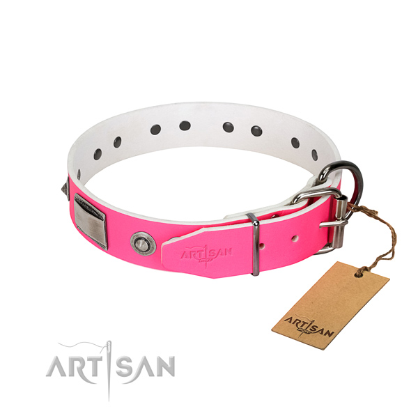 Awesome full grain leather collar with adornments for your canine