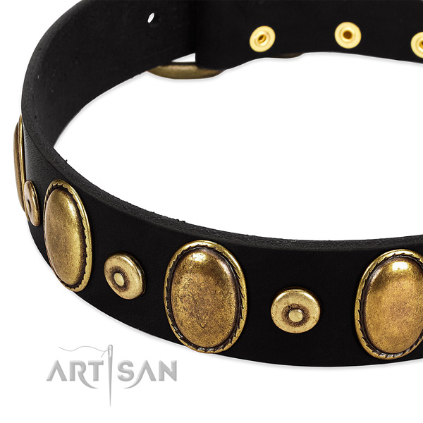 Amazing leather collar for your impressive dog